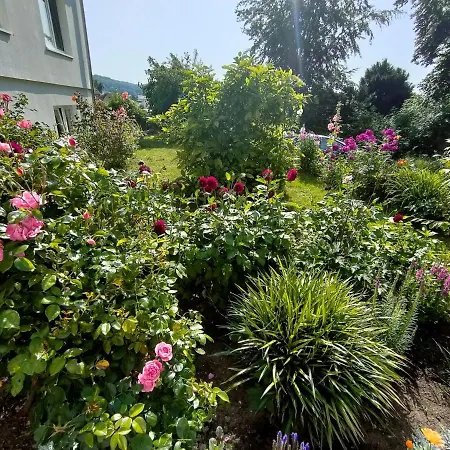 アパート Sellina