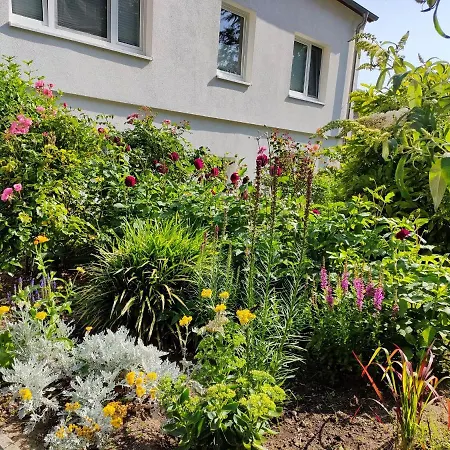 アパート Sellina