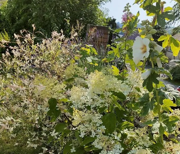 Sellina Apartamento *